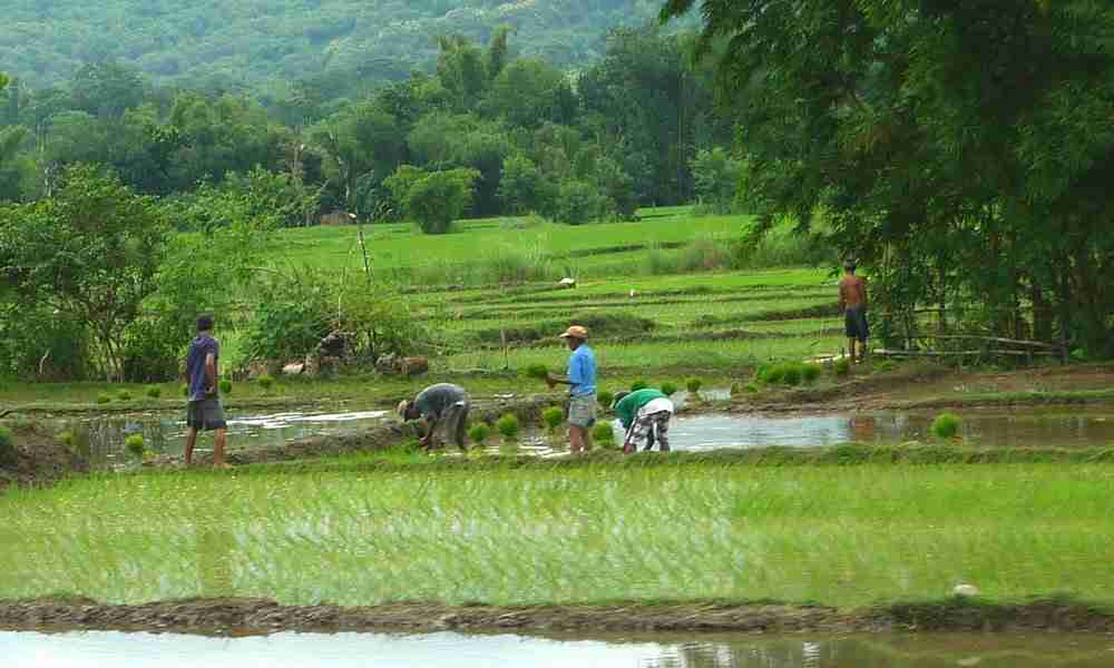 Society for the Conservation of Philippine Wetlands